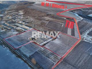 Investiție agricolă, Anenii Noi