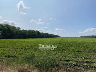 Предлагаемый к продаже земельный участок №15 общей площадью 1,6015 ...