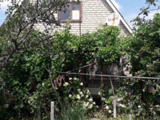 Продам дом-дачу возле моря в пгт Черноморское (15 км от Одессы)