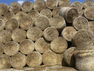 Солома ячменная и пшеничная