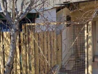 2х комнатная квартира на Пастера с палисадником