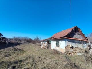 Продам участок/дом Слободзея