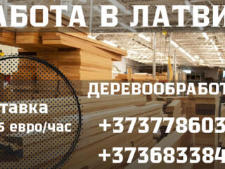 РАБОТА В ЛАТВИИ ПО БИО ПАСПОРТУ