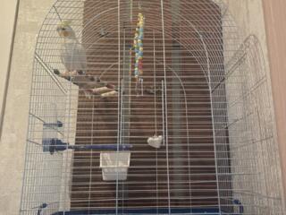 Продам клетку для попугая
