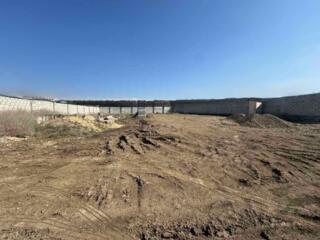 Центр, 10 соток