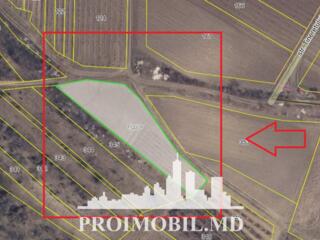 S pre vânzare se oferă teren pentru grădini, situat în Strășeni, sat. 