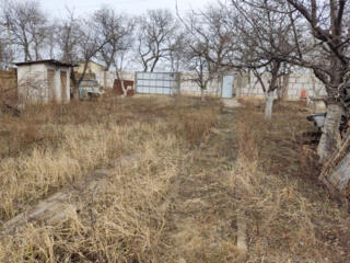 Участок в с. Великий Дальник.