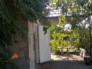 Продам дачу на лимане. Кооператив "Энергетик"