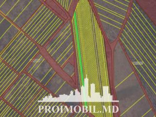 S pre vânzare se oferă teren cu destinație agricolă, situat în ...