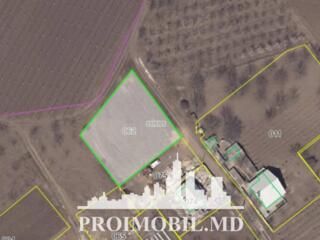 Spre vânzare se oferă teren pentru construcții, situat în Ialoveni, ..