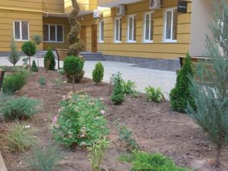 Бизнес в Аркадии