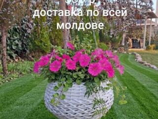 Продам кашпо