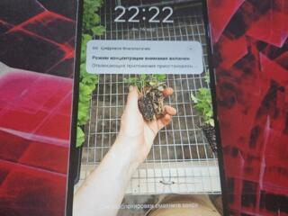 Realme Narzo 50a 4/128