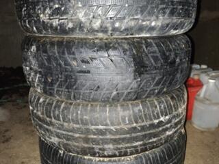 Belshina 50р. шт. 195/65 R15