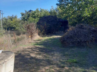 Участок 15 соток в с. Латовка (с. Котовка)