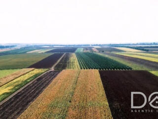 Teren agricol, 118,5 ari, Hrușova