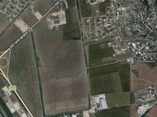 Предлагается к продаже земельный участок площадью 178 соток. ...