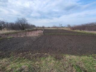 Предлагается к продаже земельный участок общей площадью 6 соток, ...