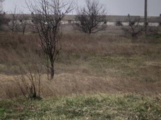 Агро-база / ферма 9 га с зернохранилищами и весовой (Беляевка, Одесса)