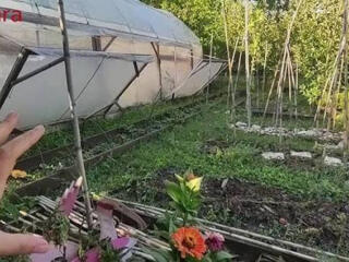 Sapam in gradina facem diferite lucrari iт agricultura