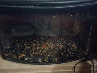 Аксессуары для аквариума.