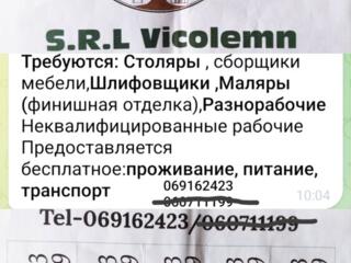 Требуются столяры, сборщики мебели