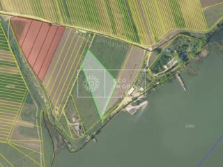 Teren agroindustrial de vânzare pe malul Râului Nistru – Ideal pentru 