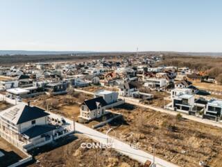 Str. Tineretului , Poiana Domneasca, Chisinau