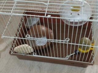 Автоматическая поилка для домашних животных. Клетка.