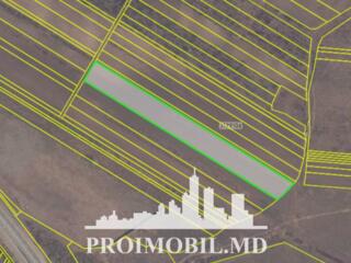 Spre vânzare se oferă teren agricol, situat în r. Criuleni, sat. ...