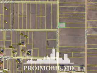 Spre vânzare se oferă teren pentru construcții, situat în Băcioi, ...