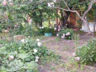 Участок 5,3 сотки в с. Нерубайское.