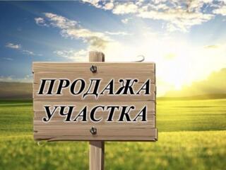 Кожушна, в центре, 13 соток