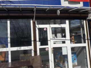 Сдаю в аренду магазин Алиментара, зона отдыха Вадул луй Водэ