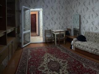 Pușkin, mobilat. Reparație