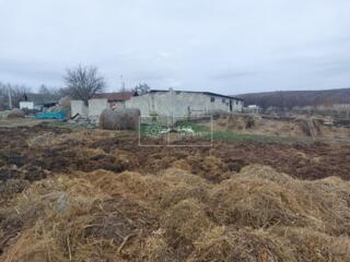 Spre vânzare fermă activă în Raionul Anenii Noi. Caracteristici: 2,6 .