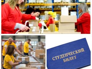 Работа для студентов на лето!
