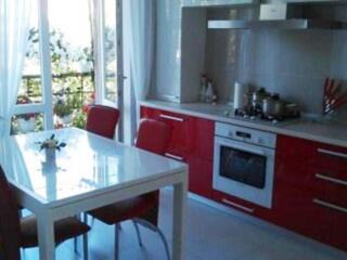 Квартира после капитального ремонт, с мебелью и техникой. Панорамное .