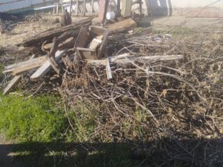 Отдам бесплатно сухие ветки, доски, рамы деревянные, двери на дрова