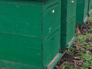 Продаются ульи типа Рута (с рамками), бывшие в употреблении 2 года.