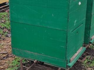 Распродажа пасеки!!!