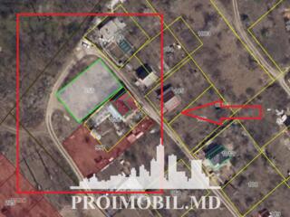 Spre vânzare se oferă teren agricol, situat în Trușeni,IP "ICAM .