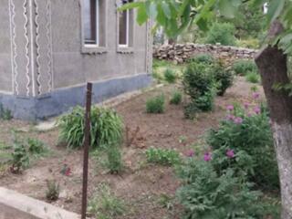 В продаже компактный и уютный дом, расположенный на 25 сотках земли в 