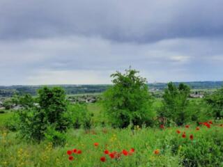 Под строительство, Сынджера(Флорены), 6 сот.