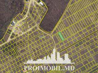 S pre vânzare se oferă teren cu destinație agricolă, situat la prima .