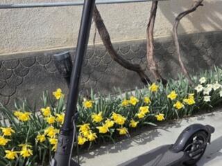 Электросамокат сяоми 1s