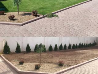 SERVICII PROFESIONALE amenajare teren