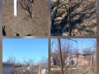 Дачный участок