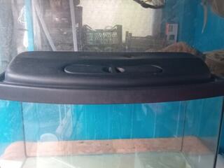 Продам на 60 л