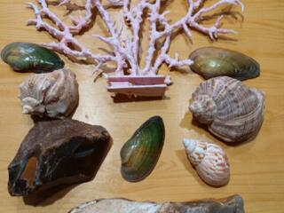 Набор для аквариума